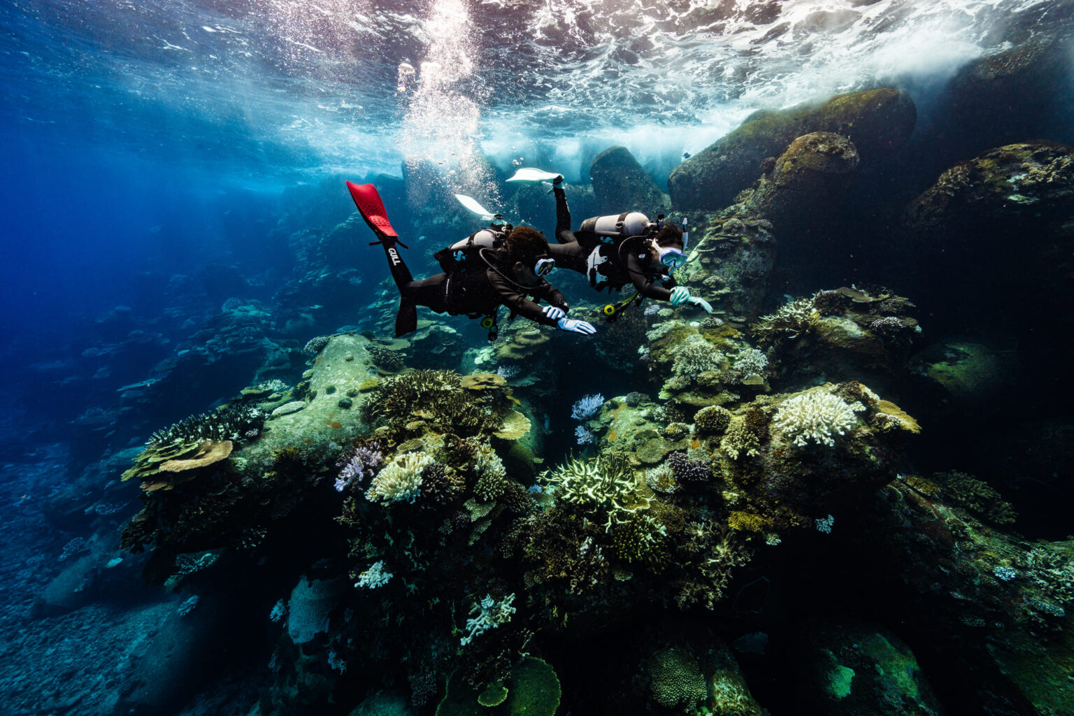 Urban Adventure - Scuba Diving Gear & Equipment Store