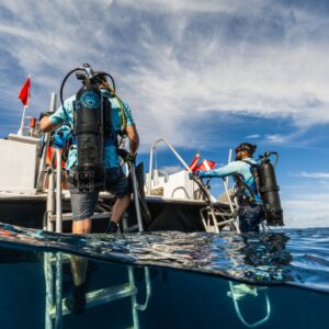 Avelo Diving